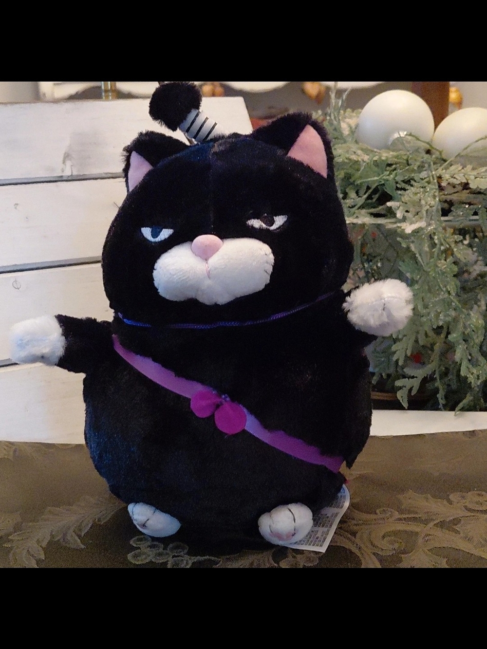 Kuromamu Samuari Cat